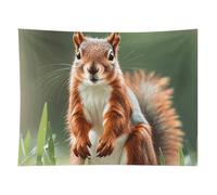 HETVBNS Cute Squirrels Tapestry Wall Hanging - 60"x80" Aesthetic Tapestries Soft Polyester Wall Art Decor Large Tapestry for Bedroom Living Room Dorm Backdrop, Hanging Kit Included