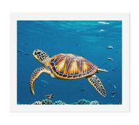 HETVBNS DIY Digital Painting by Numbers Kit for Adults Beginners - Animals Sea Turtles Paint by Numbers Kits, DIY Acrylic Painting on Canvas for Home Decor 60x75cm