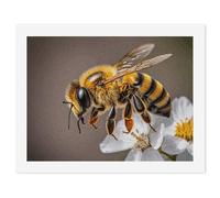 HETVBNS DIY Digital Painting by Numbers Kit for Adults Beginners - Bee And Flower Paint by Numbers Kits, DIY Acrylic Painting on Canvas for Home Decor 30x40cm