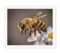 HETVBNS DIY Digital Painting by Numbers Kit for Adults Beginners - Bee And Flower Paint by Numbers Kits, DIY Acrylic Painting on Canvas for Home Decor 40x50cm