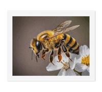 HETVBNS DIY Digital Painting by Numbers Kit for Adults Beginners - Bee And Flower Paint by Numbers Kits, DIY Acrylic Painting on Canvas for Home Decor 50x65cm