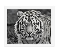 HETVBNS DIY Digital Painting by Numbers Kit for Adults Beginners - Black And White Tiger Paint by Numbers Kits, DIY Acrylic Painting on Canvas for Home Decor 50x65cm