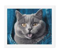 HETVBNS DIY Digital Painting by Numbers Kit for Adults Beginners - Blue Cat Paint by Numbers Kits, DIY Acrylic Painting on Canvas for Home Decor 40x50cm