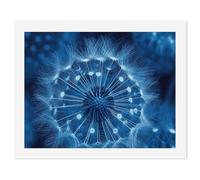 HETVBNS DIY Digital Painting by Numbers Kit for Adults Beginners - Blue Dandelion Paint by Numbers Kits, DIY Acrylic Painting on Canvas for Home Decor 50x65cm