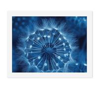 HETVBNS DIY Digital Painting by Numbers Kit for Adults Beginners - Blue Dandelion Paint by Numbers Kits, DIY Acrylic Painting on Canvas for Home Decor 30x40cm