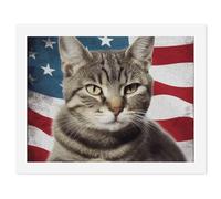 HETVBNS DIY Digital Painting by Numbers Kit for Adults Beginners - Cat Usa Flag Paint by Numbers Kits, DIY Acrylic Painting on Canvas for Home Decor 30x40cm