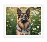 HETVBNS DIY Digital Painting by Numbers Kit for Adults Beginners - Cute Pet German Shepherd Dog Paint by Numbers Kits, DIY Acrylic Painting on Canvas for Home Decor 60x75cm