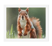 HETVBNS DIY Digital Painting by Numbers Kit for Adults Beginners - Cute Squirrels Paint by Numbers Kits, DIY Acrylic Painting on Canvas for Home Decor 40x50cm