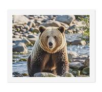 HETVBNS DIY Digital Painting by Numbers Kit for Adults Beginners - Encounter Animal Bear Paint by Numbers Kits, DIY Acrylic Painting on Canvas for Home Decor 60x75cm