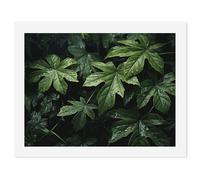 HETVBNS DIY Digital Painting by Numbers Kit for Adults Beginners - Green Leaves Pattern Paint by Numbers Kits, DIY Acrylic Painting on Canvas for Home Decor 30x40cm