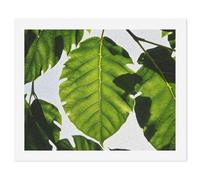 HETVBNS DIY Digital Painting by Numbers Kit for Adults Beginners - Green Leaves Pattern Paint by Numbers Kits, DIY Acrylic Painting on Canvas for Home Decor 60x75cm