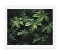 HETVBNS DIY Digital Painting by Numbers Kit for Adults Beginners - Green Leaves Pattern Paint by Numbers Kits, DIY Acrylic Painting on Canvas for Home Decor 40x50cm