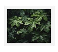 HETVBNS DIY Digital Painting by Numbers Kit for Adults Beginners - Green Leaves Pattern Paint by Numbers Kits, DIY Acrylic Painting on Canvas for Home Decor 50x65cm