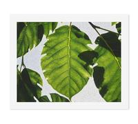 HETVBNS DIY Digital Painting by Numbers Kit for Adults Beginners - Green Leaves Pattern Paint by Numbers Kits, DIY Acrylic Painting on Canvas for Home Decor 50x65cm