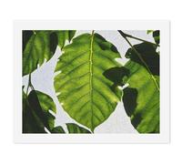 HETVBNS DIY Digital Painting by Numbers Kit for Adults Beginners - Green Leaves Pattern Paint by Numbers Kits, DIY Acrylic Painting on Canvas for Home Decor 30x40cm