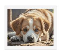 HETVBNS DIY Digital Painting by Numbers Kit for Adults Beginners - Lazy Dog Puppy Paint by Numbers Kits, DIY Acrylic Painting on Canvas for Home Decor 60x75cm