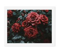 HETVBNS DIY Digital Painting by Numbers Kit for Adults Beginners - Red And Black Rose Paint by Numbers Kits, DIY Acrylic Painting on Canvas for Home Decor 30x40cm