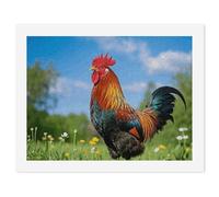 HETVBNS DIY Digital Painting by Numbers Kit for Adults Beginners - Rooster Paint by Numbers Kits, DIY Acrylic Painting on Canvas for Home Decor 30x40cm