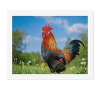 HETVBNS DIY Digital Painting by Numbers Kit for Adults Beginners - Rooster Paint by Numbers Kits, DIY Acrylic Painting on Canvas for Home Decor 50x65cm