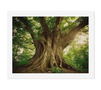 HETVBNS DIY Digital Painting by Numbers Kit for Adults Beginners - Thick Tree Paint by Numbers Kits, DIY Acrylic Painting on Canvas for Home Decor 30x40cm