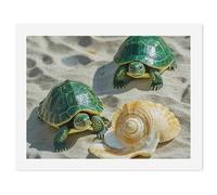 HETVBNS DIY Digital Painting by Numbers Kit for Adults Beginners - Two Turtles And Shells Paint by Numbers Kits, DIY Acrylic Painting on Canvas for Home Decor 30x40cm