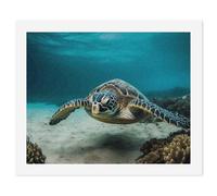 HETVBNS DIY Digital Painting by Numbers Kit for Adults Beginners - Underwater Diving Sea Turtle Paint by Numbers Kits, DIY Acrylic Painting on Canvas for Home Decor 60x75cm