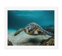 HETVBNS DIY Digital Painting by Numbers Kit for Adults Beginners - Underwater Diving Sea Turtle Paint by Numbers Kits, DIY Acrylic Painting on Canvas for Home Decor 30x40cm