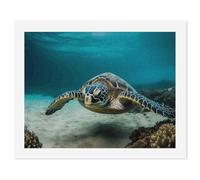 HETVBNS DIY Digital Painting by Numbers Kit for Adults Beginners - Underwater Diving Sea Turtle Paint by Numbers Kits, DIY Acrylic Painting on Canvas for Home Decor 50x65cm