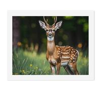 HETVBNS DIY Digital Painting by Numbers Kit for Adults Beginners - Whitetail Deer Fawn Paint by Numbers Kits, DIY Acrylic Painting on Canvas for Home Decor 50x65cm