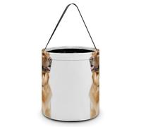 HETVBNS Dog Candy Bag Halloween Trick Or Treat Bucket 7.9x8.3in, Reusable Gift Bags for Party Holiday Wedding