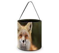 HETVBNS Funny Fox Candy Bag Halloween Trick Or Treat Bucket 7.9x8.3in, Reusable Gift Bags for Party Holiday Wedding
