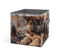HETVBNS German Shepherd Puppy Storage Bins 10.6 Inch, Oxford Fabric Foldable Storage Cube Organizer Basket with Handles, Fabric Bins for Closet Shelves, Toys, Clothes, Books, Bedroom