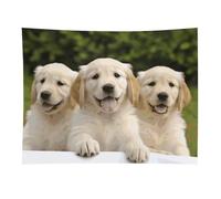 HETVBNS Golden Retriever Puppies Tapestry Wall Hanging - 30"x40" Aesthetic Tapestries Soft Polyester Wall Art Decor Large Tapestry for Bedroom Living Room Dorm Backdrop, Hanging Kit Included