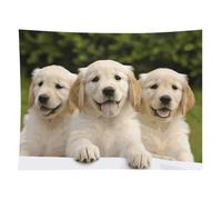 HETVBNS Golden Retriever Puppies Tapestry Wall Hanging - 60"x80" Aesthetic Tapestries Soft Polyester Wall Art Decor Large Tapestry for Bedroom Living Room Dorm Backdrop, Hanging Kit Included