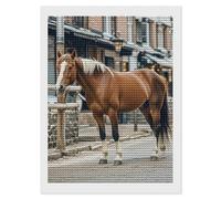 HETVBNS Horse in The Street Diamond Painting Kits for Adults, Full Round Drill DIY Diamond Art for Beginners, 5D Gem Art and Crafts for Home Wall Decor 12"x16"