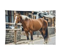 HETVBNS Horse in The Street Tapestry Wall Hanging - 60"x90" Aesthetic Tapestries Soft Polyester Wall Art Decor Large Tapestry for Bedroom Living Room Dorm Backdrop, Hanging Kit Included