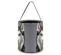 HETVBNS Husky Dog Candy Bag Halloween Trick Or Treat Bucket 7.9x8.3in, Reusable Gift Bags for Party Holiday Wedding