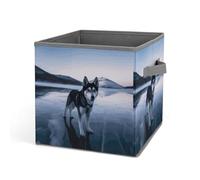 HETVBNS Husky Dog on A Frozen Lake Storage Bins 10.6 Inch, Oxford Fabric Foldable Storage Cube Organizer Basket with Handles, Fabric Bins for Closet Shelves, Toys, Clothes, Books, Bedroom