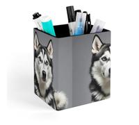 HETVBNS Husky Dog Pen Holder for Desk - PU Leather Square Desk Organizer Travel Makeup Brush Storage Stylish Pencil Holder Desktop Stationery Organizer for Office & Home