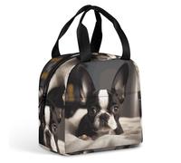 HETVBNS Insulated Lunch Bag for Women Men, Cute Boston Terrier Lunch Box with Large Capacity Portable Thermal Cooler Bag Reusable Leakproof Lunchbox for Work Picnic Travel