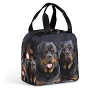 HETVBNS Insulated Lunch Bag for Women Men, Rottweiler Wallpaper Lunch Box with Large Capacity Portable Thermal Cooler Bag Reusable Leakproof Lunchbox for Work Picnic Travel