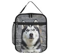 HETVBNS Insulated Lunch Bag Portable Lunch Box for Women Men Large Capacity Lunches Cooler Bag with Handle Husky Dog Leakproof Cooler Lunches Tote for Office Picnic Camping Beach