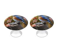 HETVBNS Kitchen Cabinet Knobs Eastern Bluebird Dresser Knobs Round Cabinet Hardware Pull Drawer Pulls Drawer Handles Door Handles for Cupboard Closet 2PCS