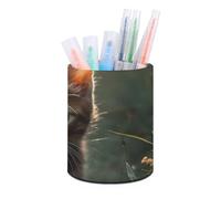 HETVBNS Kitten Walking on The Grass Pen Holder for Desk PU Leather Round Desk Organizer Multifunctional Makeup Brush Storage Aesthetic Desktop Supplies Stylish Pencil Holder for Office & Home