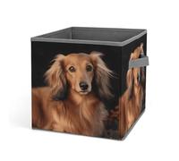 HETVBNS Long Haired Dachshund Storage Bins 10.6 Inch, Oxford Fabric Foldable Storage Cube Organizer Basket with Handles, Fabric Bins for Closet Shelves, Toys, Clothes, Books, Bedroom