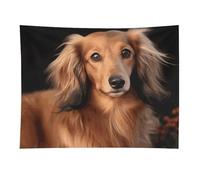 HETVBNS Long Haired Dachshund Tapestry Wall Hanging - 30"x40" Aesthetic Tapestries Soft Polyester Wall Art Decor Large Tapestry for Bedroom Living Room Dorm Backdrop, Hanging Kit Included