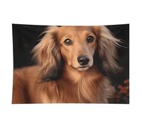 HETVBNS Long Haired Dachshund Tapestry Wall Hanging - 40"x60" Aesthetic Tapestries Soft Polyester Wall Art Decor Large Tapestry for Bedroom Living Room Dorm Backdrop, Hanging Kit Included