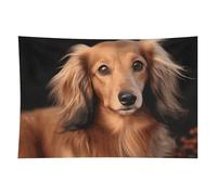 HETVBNS Long Haired Dachshund Tapestry Wall Hanging - 60"x90" Aesthetic Tapestries Soft Polyester Wall Art Decor Large Tapestry for Bedroom Living Room Dorm Backdrop, Hanging Kit Included
