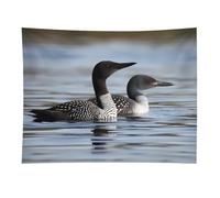 HETVBNS Loon Birds Tapestry Wall Hanging - 30"x40" Aesthetic Tapestries Soft Polyester Wall Art Decor Large Tapestry for Bedroom Living Room Dorm Backdrop, Hanging Kit Included