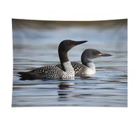 HETVBNS Loon Birds Tapestry Wall Hanging - 60"x80" Aesthetic Tapestries Soft Polyester Wall Art Decor Large Tapestry for Bedroom Living Room Dorm Backdrop, Hanging Kit Included